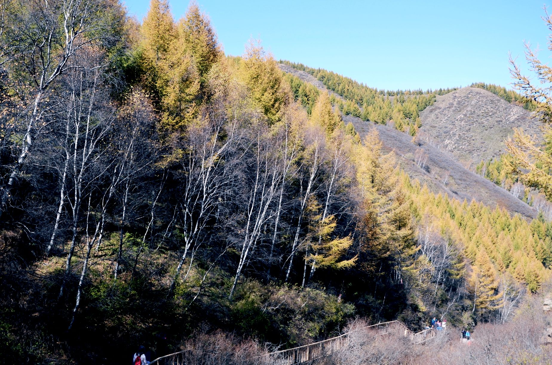 南与山西省阳高,天镇县接壤,西与丰镇市相邻,是晋,冀,蒙三省(区)交界