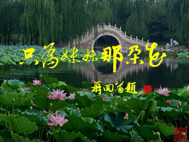 《只为妹妹那朵花》演唱:小溪
