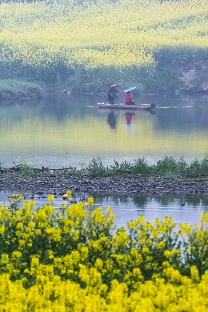 江南的春天