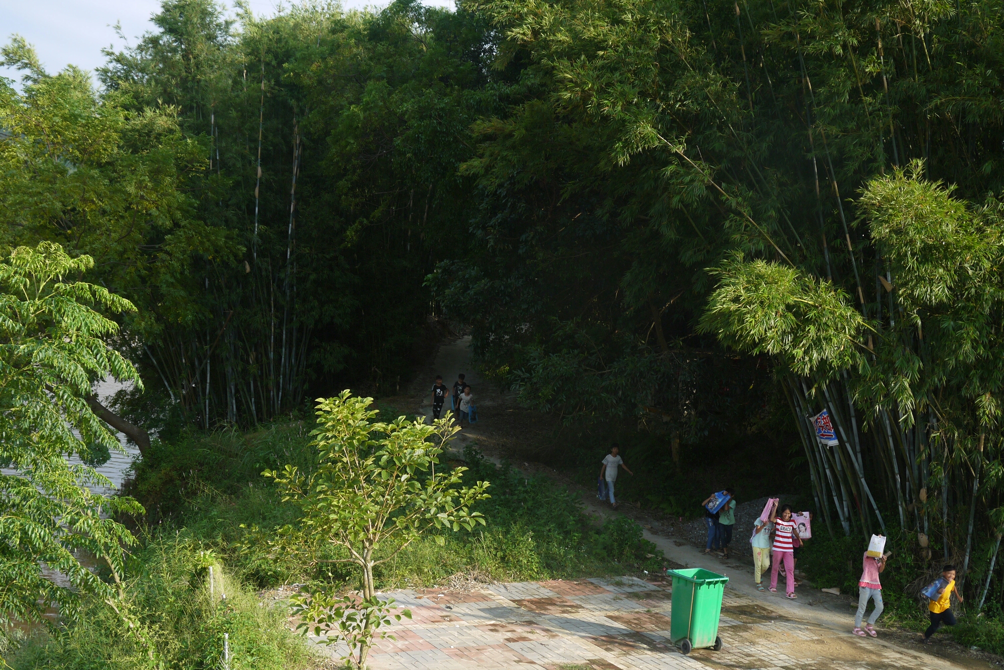 菩竹水,三黄鸡,荔枝妹 4.东镇街道,北逻村,力耕葡萄园 5.