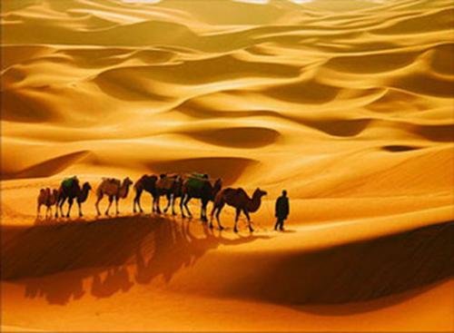 何琳尔合诵《我的南方和北方》作者:碑林路人