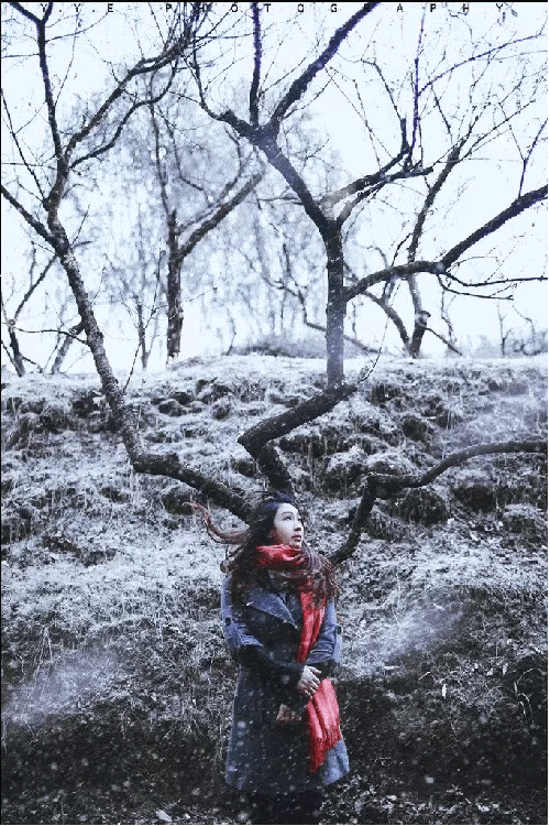 雪花飘落,是一次生命的洗礼