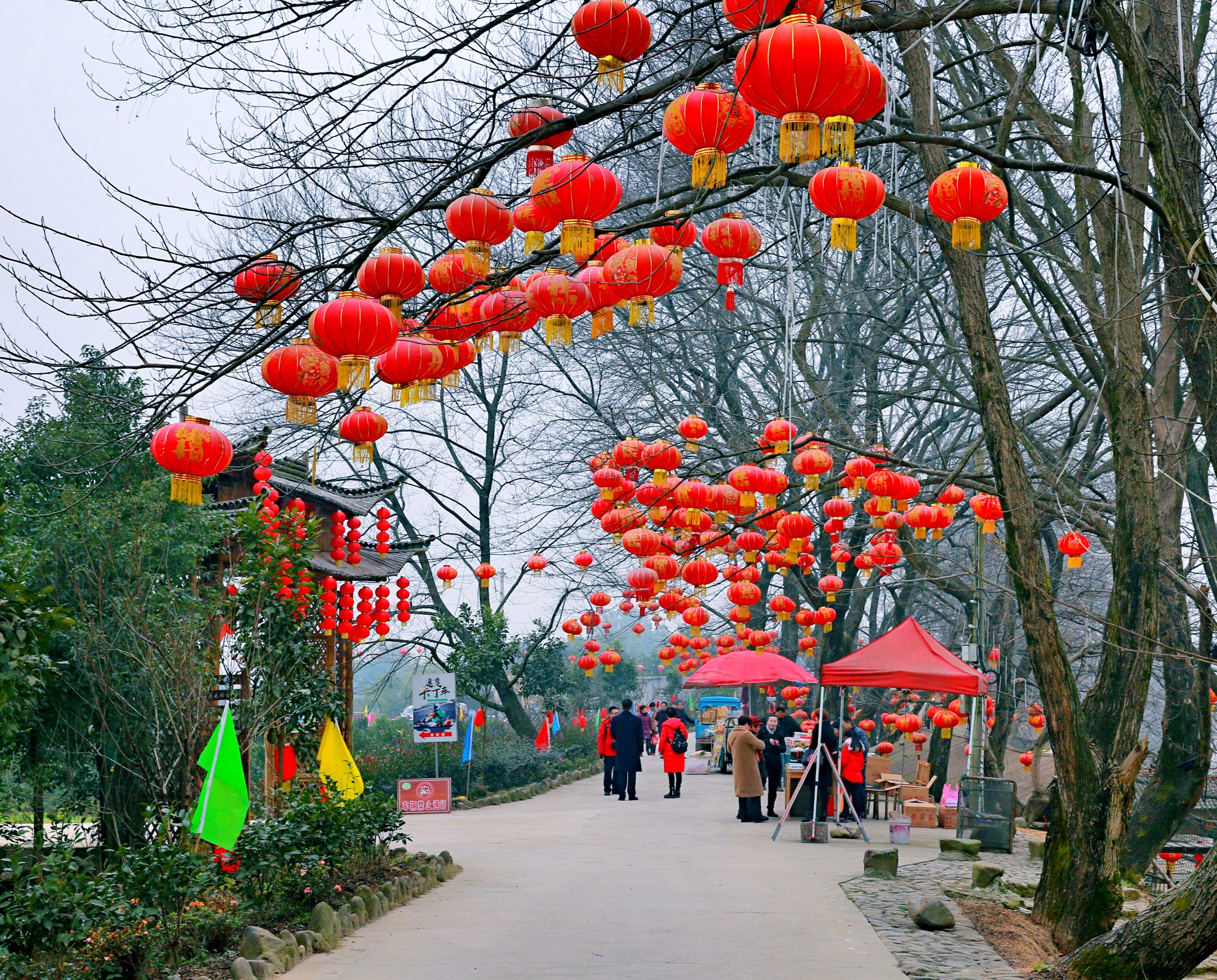 《大红灯笼高高挂》