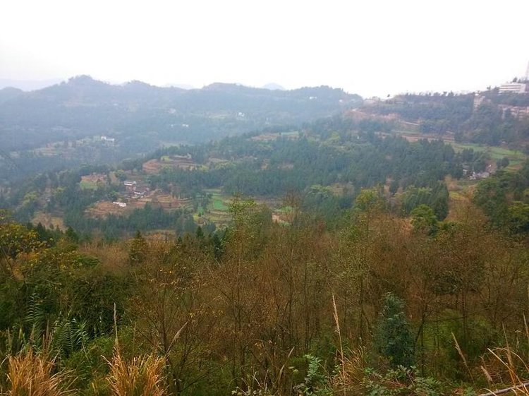 营山县通天乡 通天村