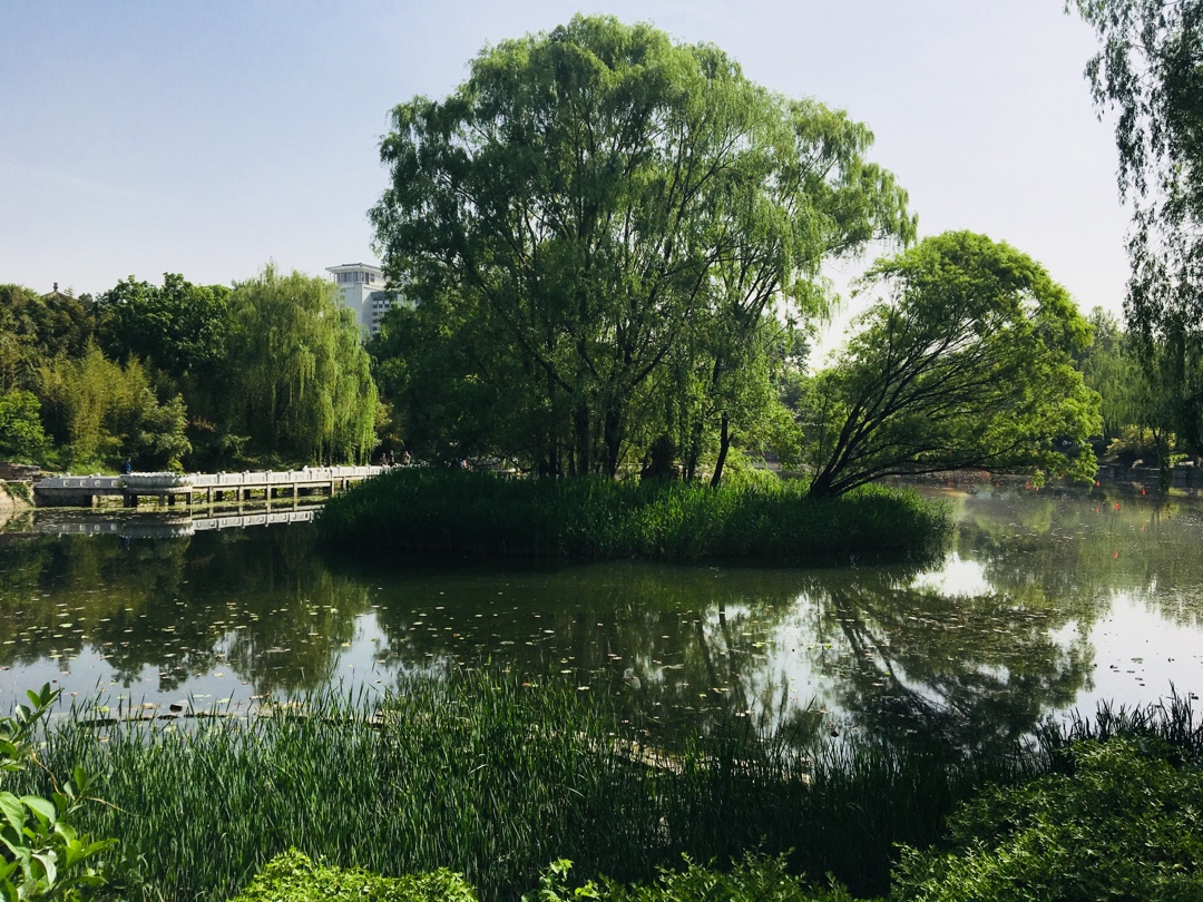 紫竹院公园内景