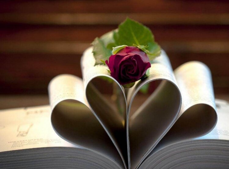 经典歌曲《红枣树》作词:祁隆作曲:祁隆演唱:老