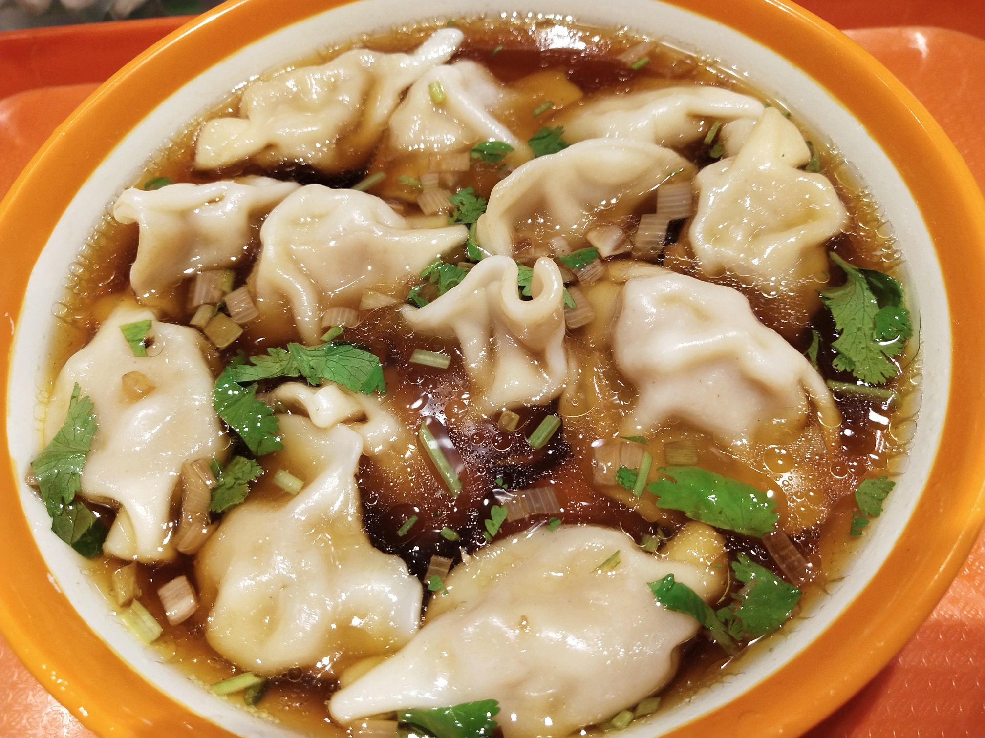 酸汤水饺