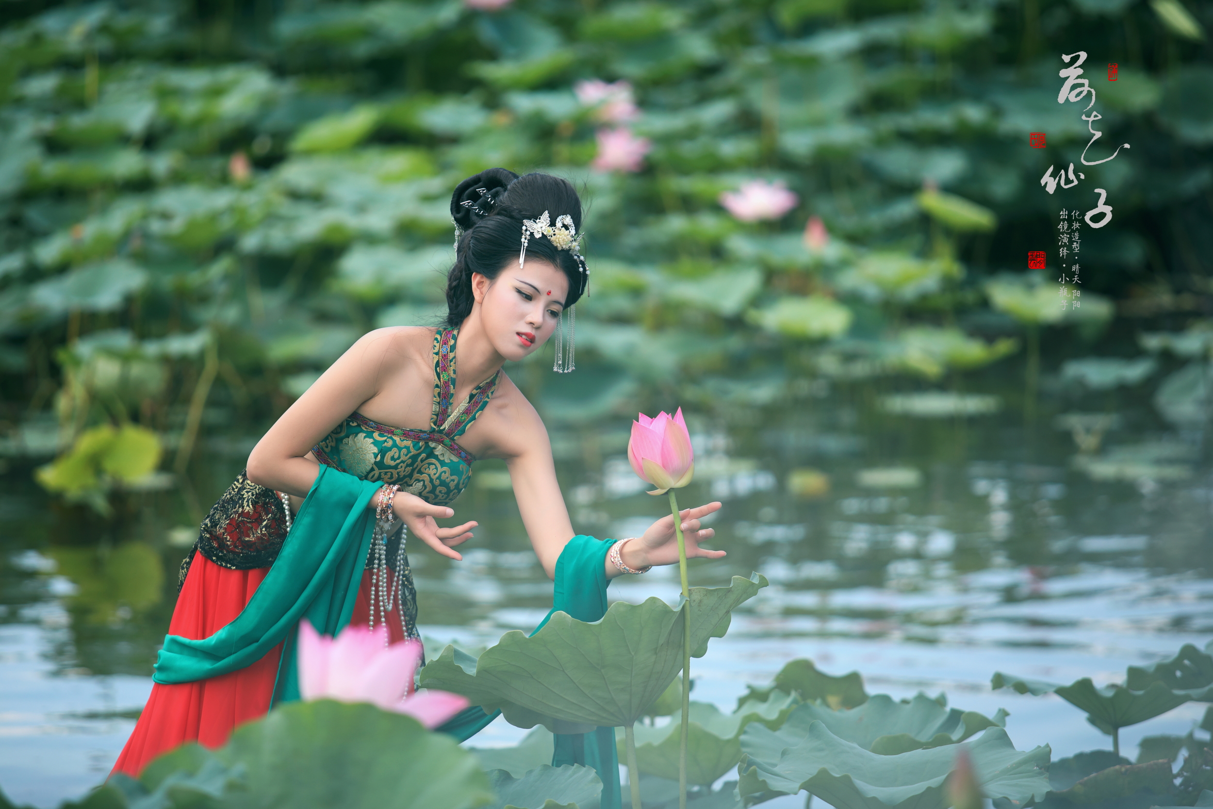 荷花仙子