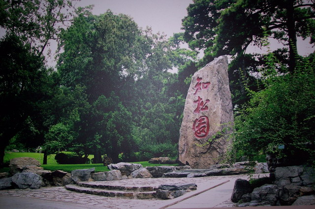 姊妹漫游植物园