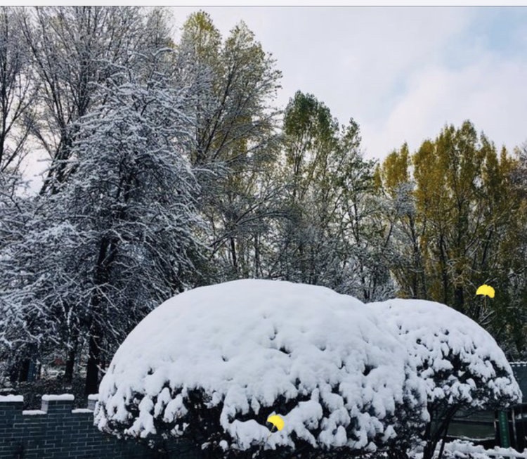 青海西宁麒麟湾的雪景:银装素裹