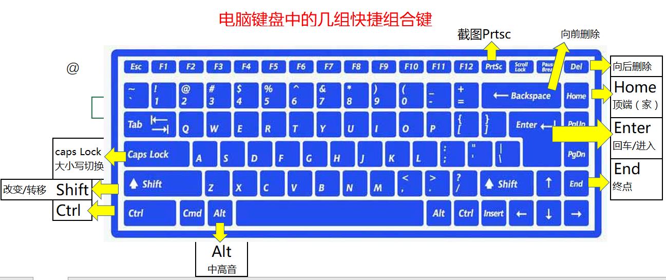 计算机应用基础教案下载_计算机基础ms office应用_计算机图形学应用基础