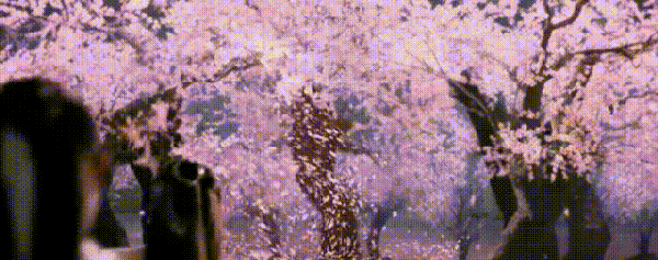 人间花卉映满天