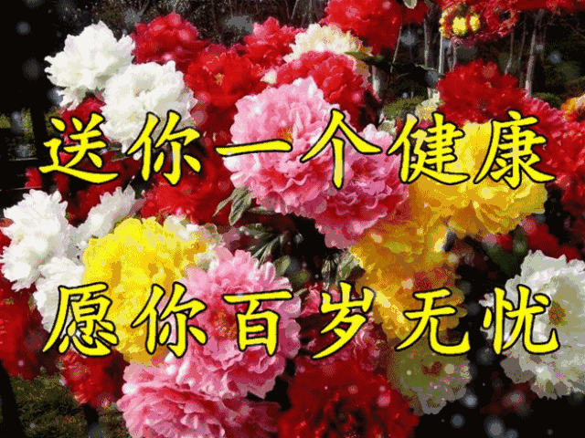 我将春天的第一份祝福送上, 因为我想第一个把春意送到你身边, 送到