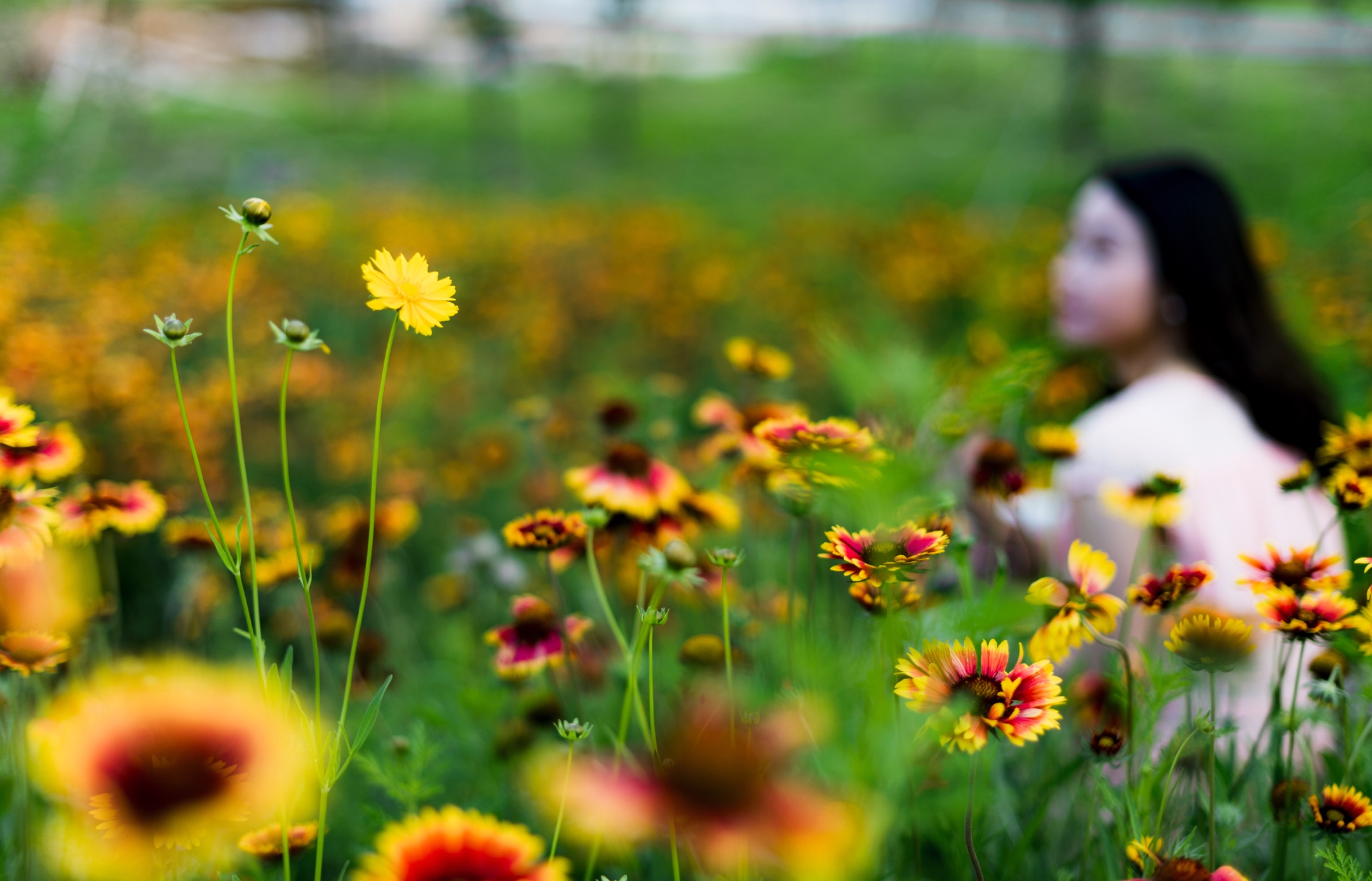 女人如花