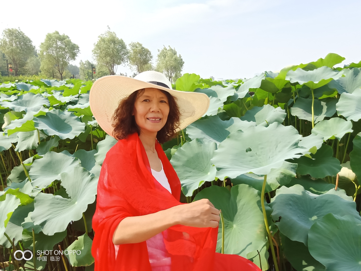 荷花红芦苇绿,美丽姐妹笑开颜!