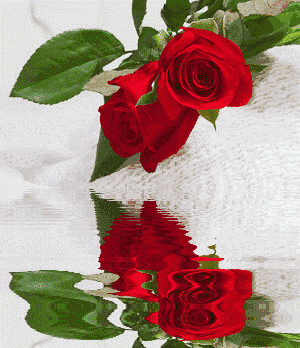 壁纸 花 花束 鲜花 桌面 300_348 gif 动态图 动图