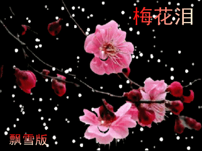 歌曲:梅花泪演唱:平安是福