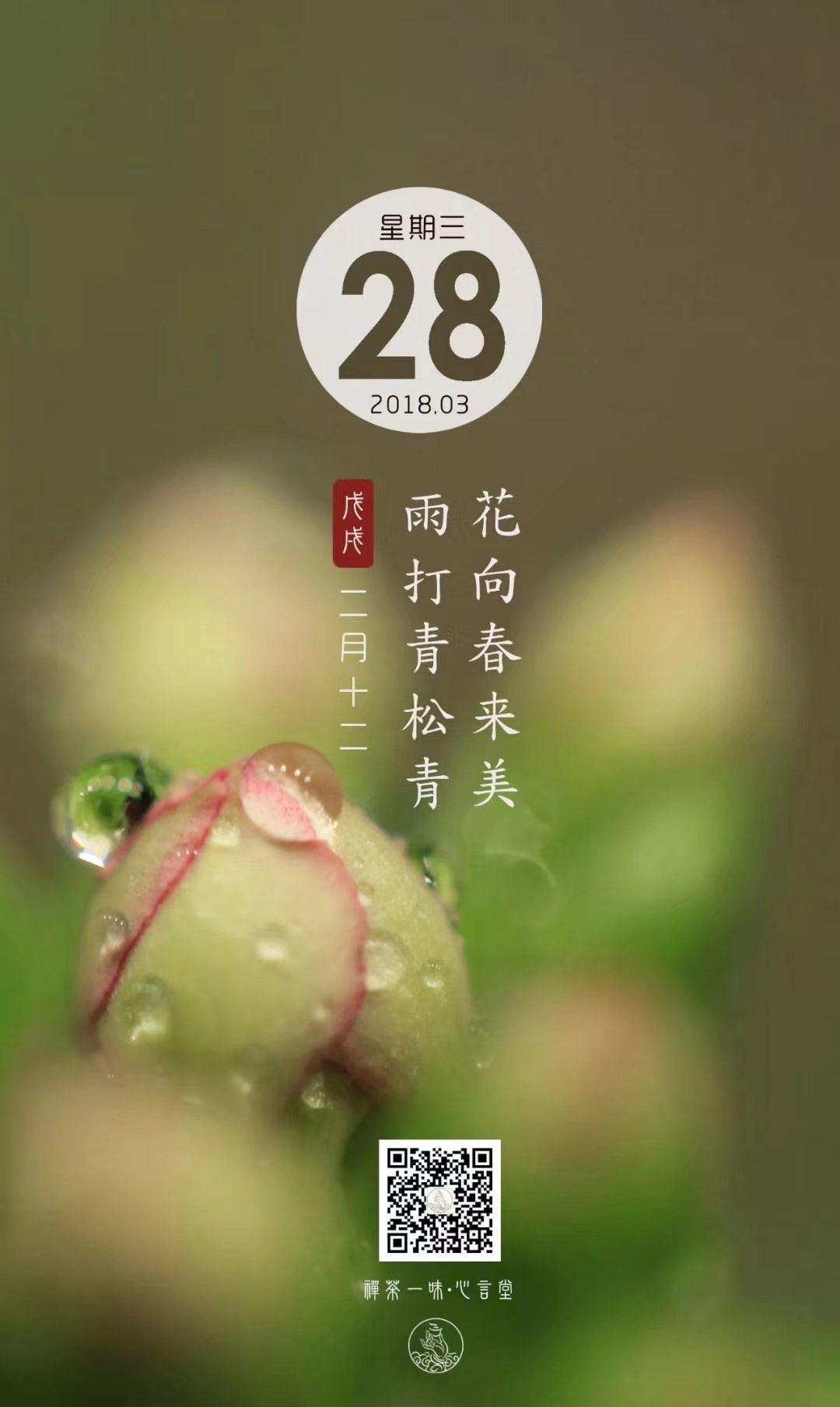 早安问候图片