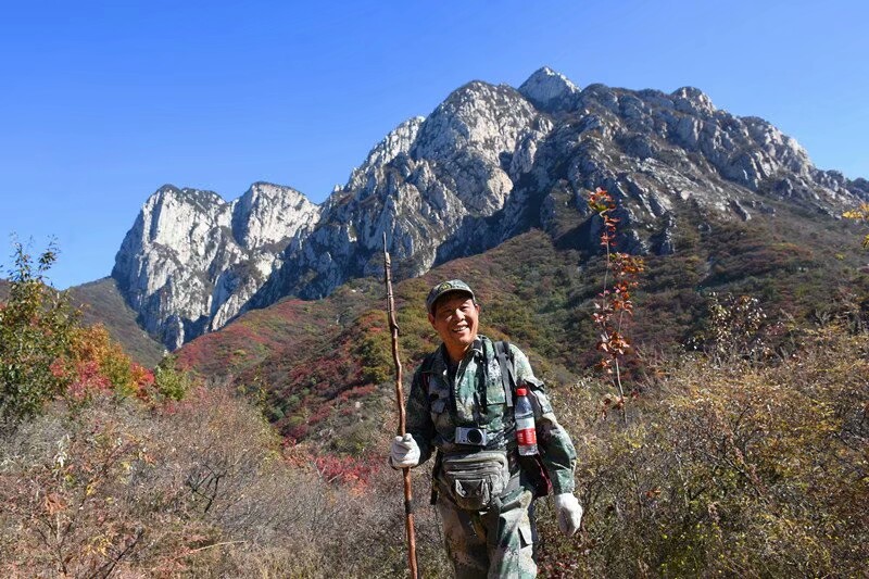 大三皇穿越少林寺因果寨环线手游攻略第六关图片