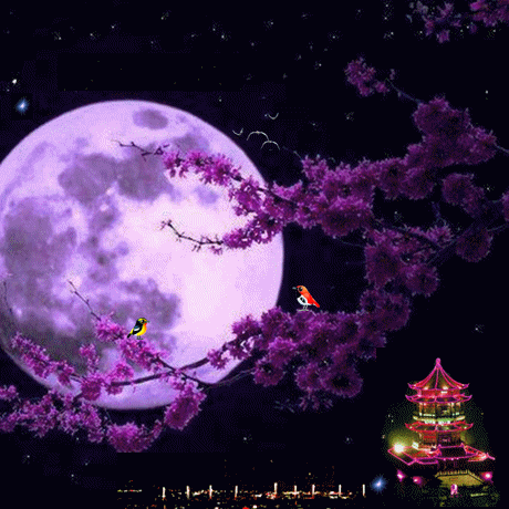 诗情画意(第229期)