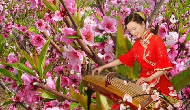 壁纸 花 桌面 658_381 gif 动态图 动图