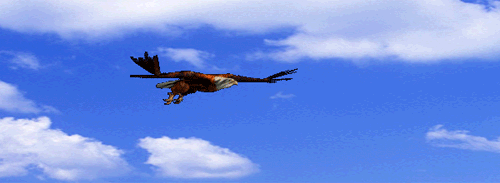 鸟巢——我爱我家!