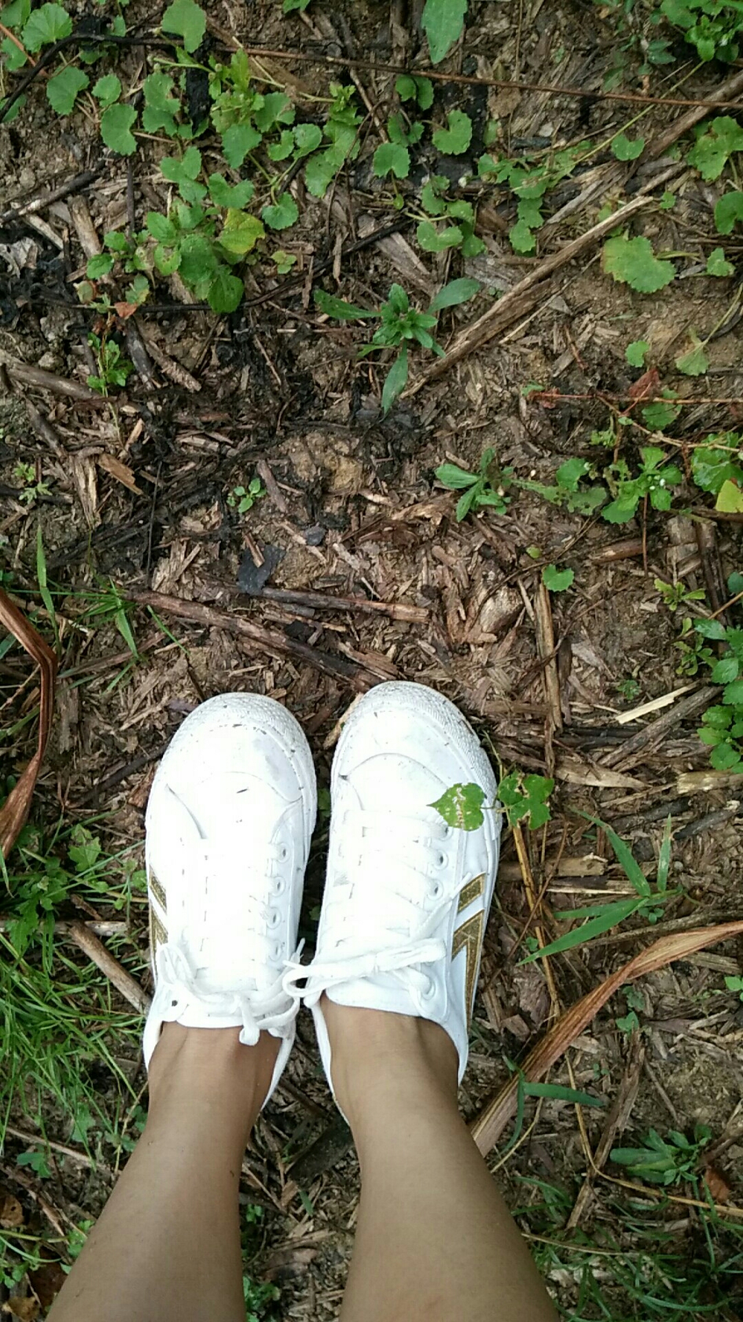 穿着小白鞋走进果园啦啦啦,瞬间成了泥巴鞋.