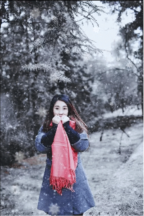 雪花飘落,是一次生命的洗礼