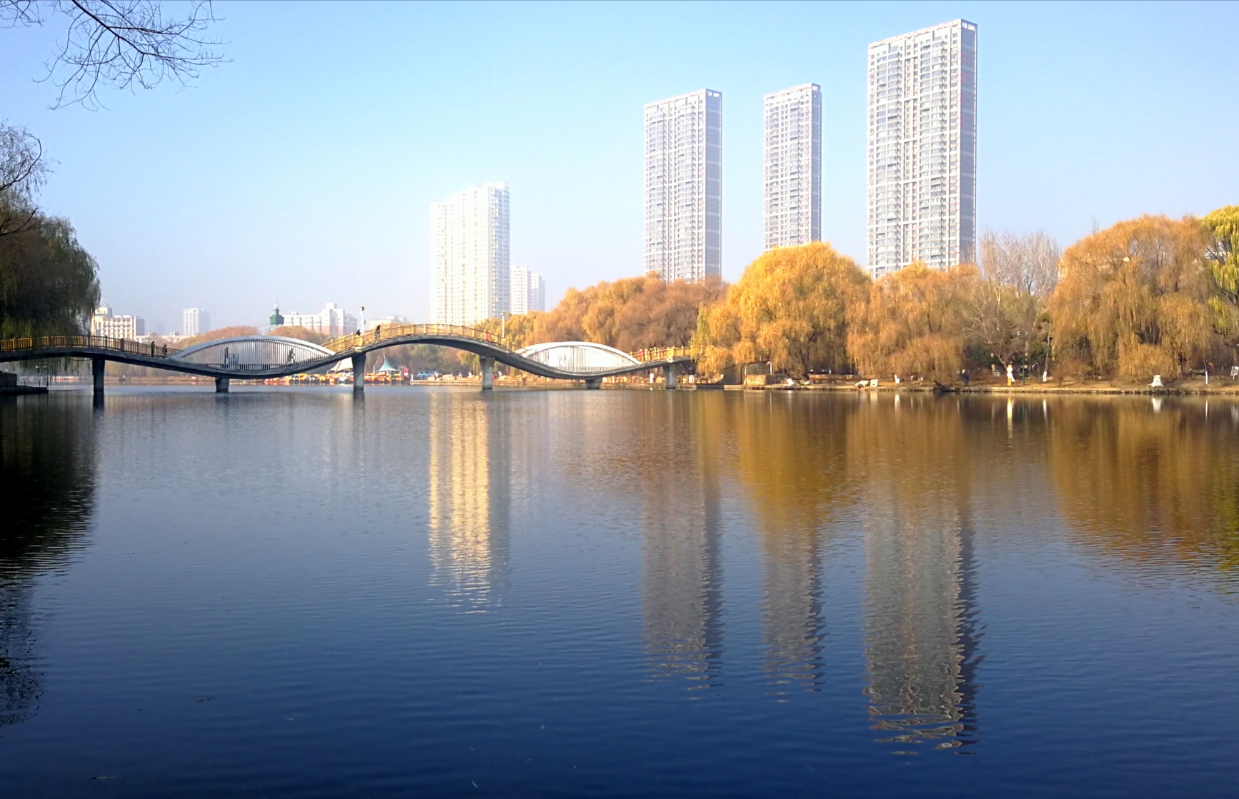 地点:沈阳南湖公园 时间:2018.11.24