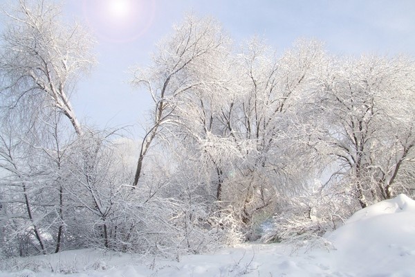东北雪