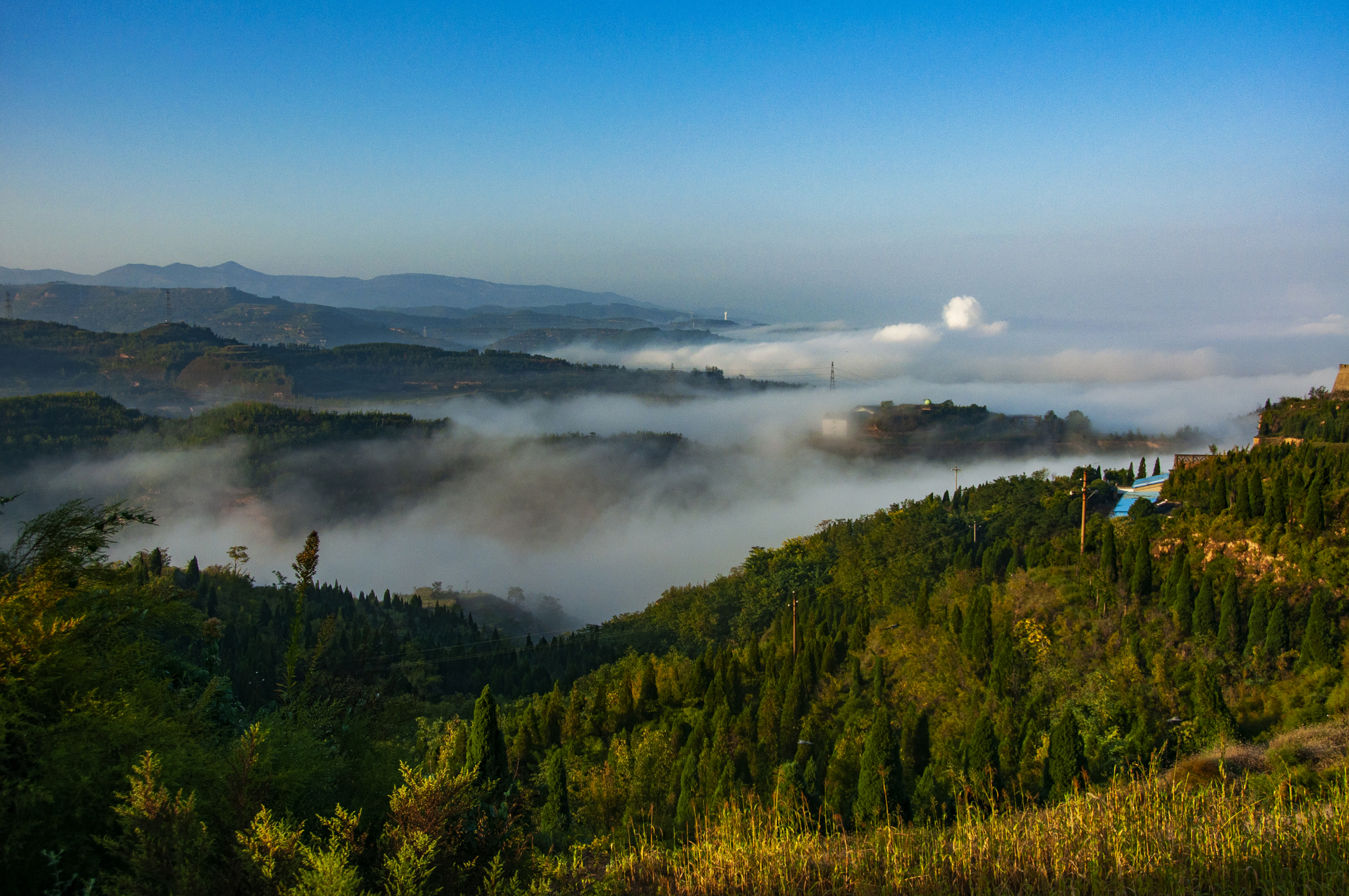 百年不遇的高阳山云海