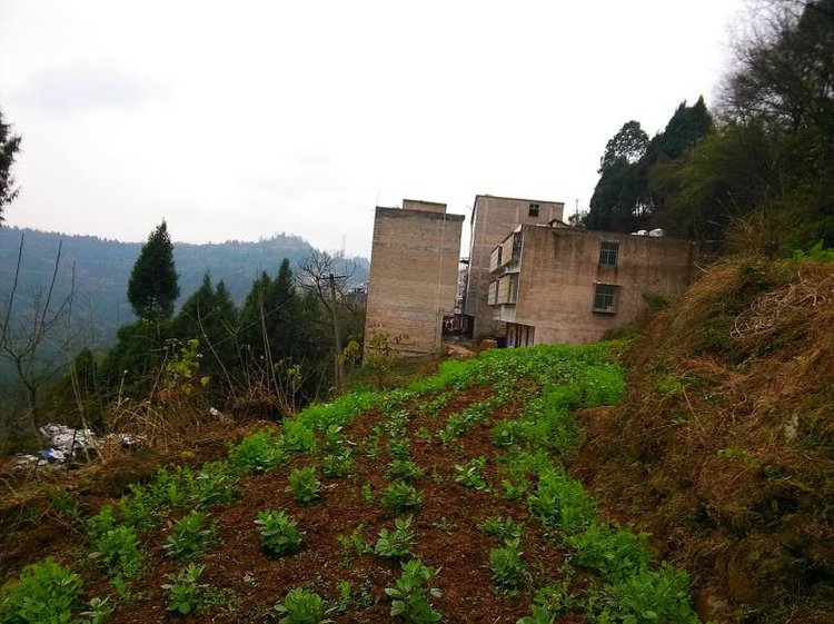 营山县通天乡