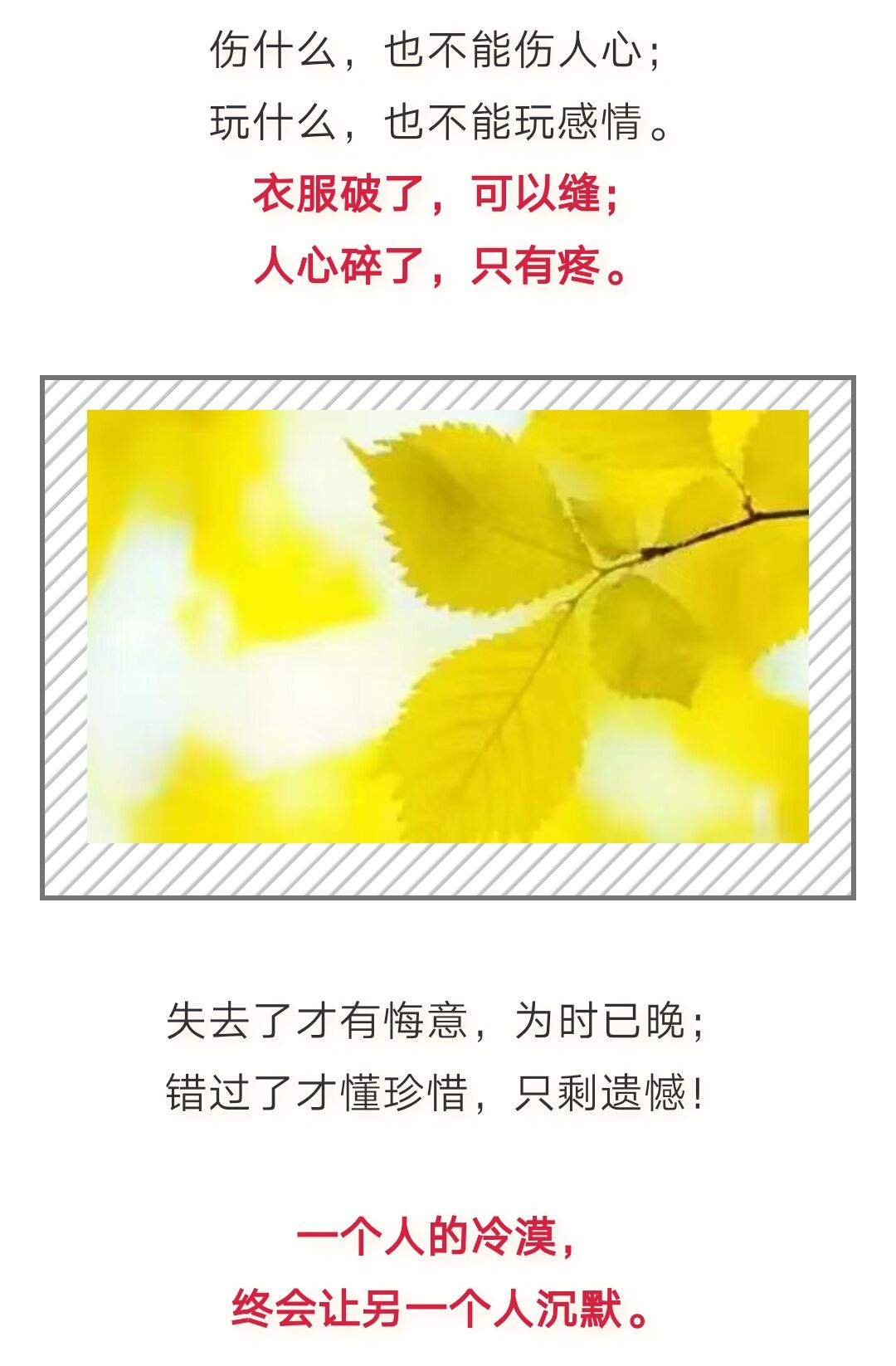树叶,不是一天黄的;人心,不是一天凉的