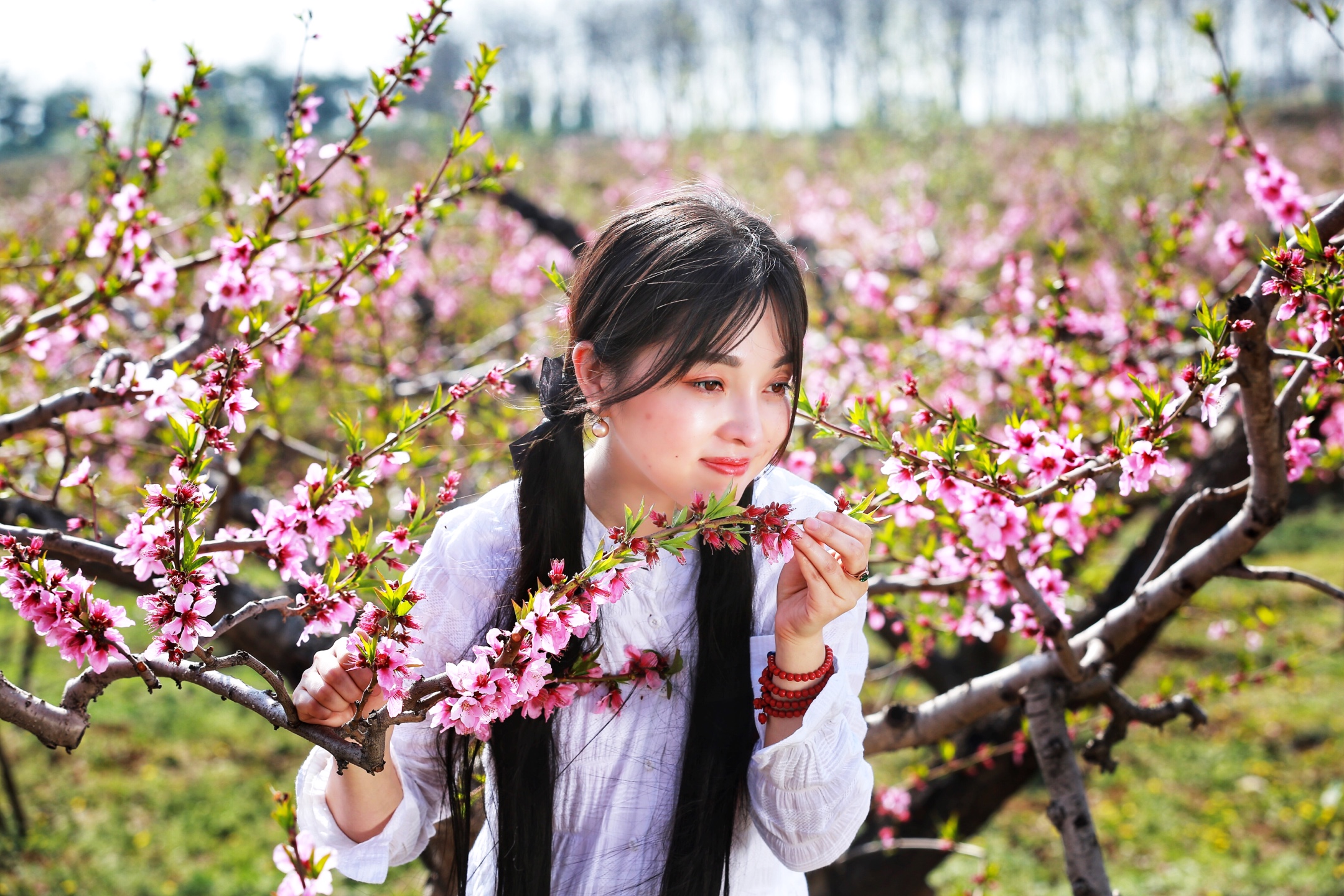 看,—— 那一颤动在微风里, 她又留下,淡淡的, 在三月的薄唇边, 一瞥