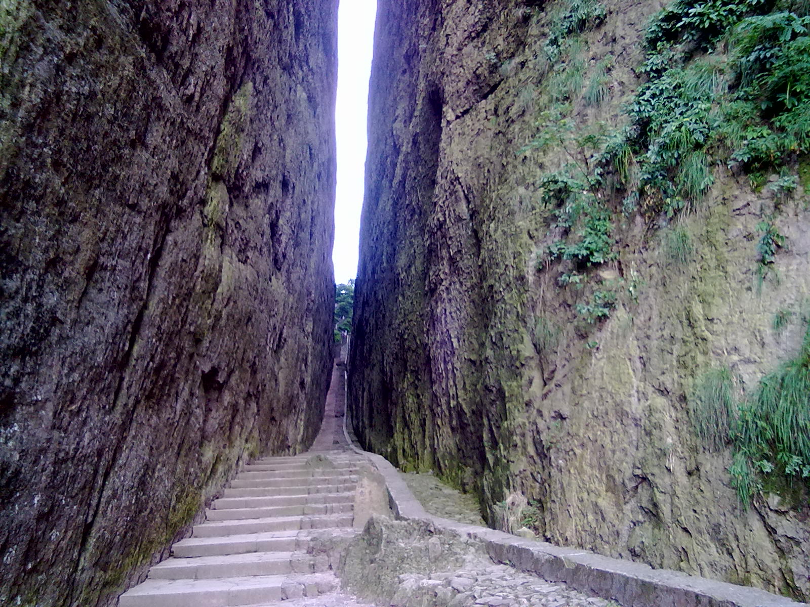 春天我们约会在四川峨眉山