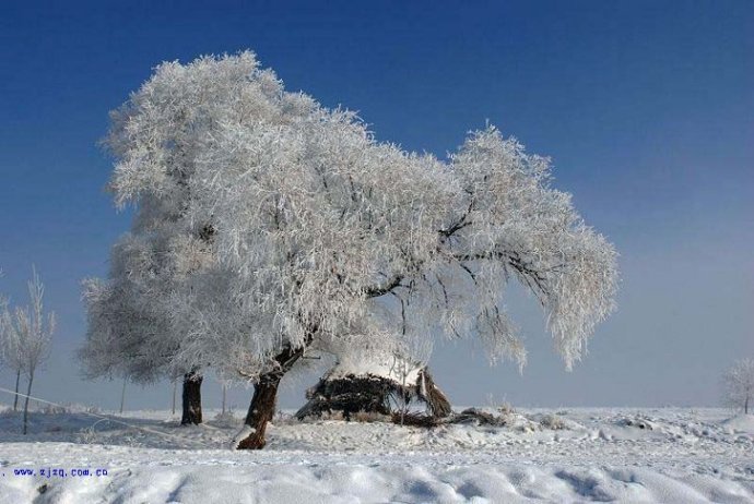 我的南方和北方图片