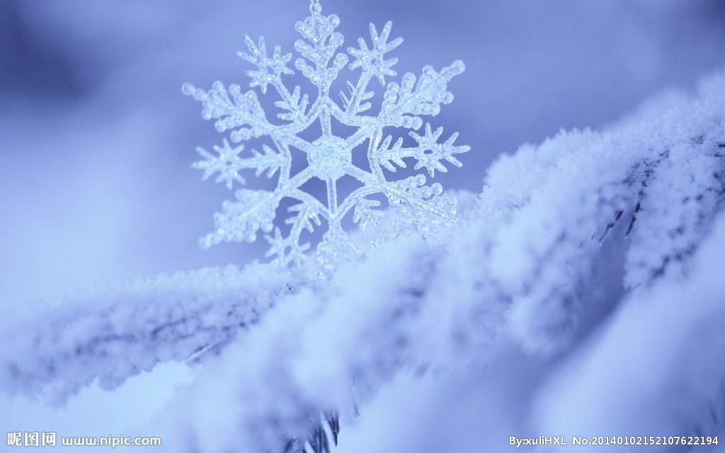 一朵一朵小雪花