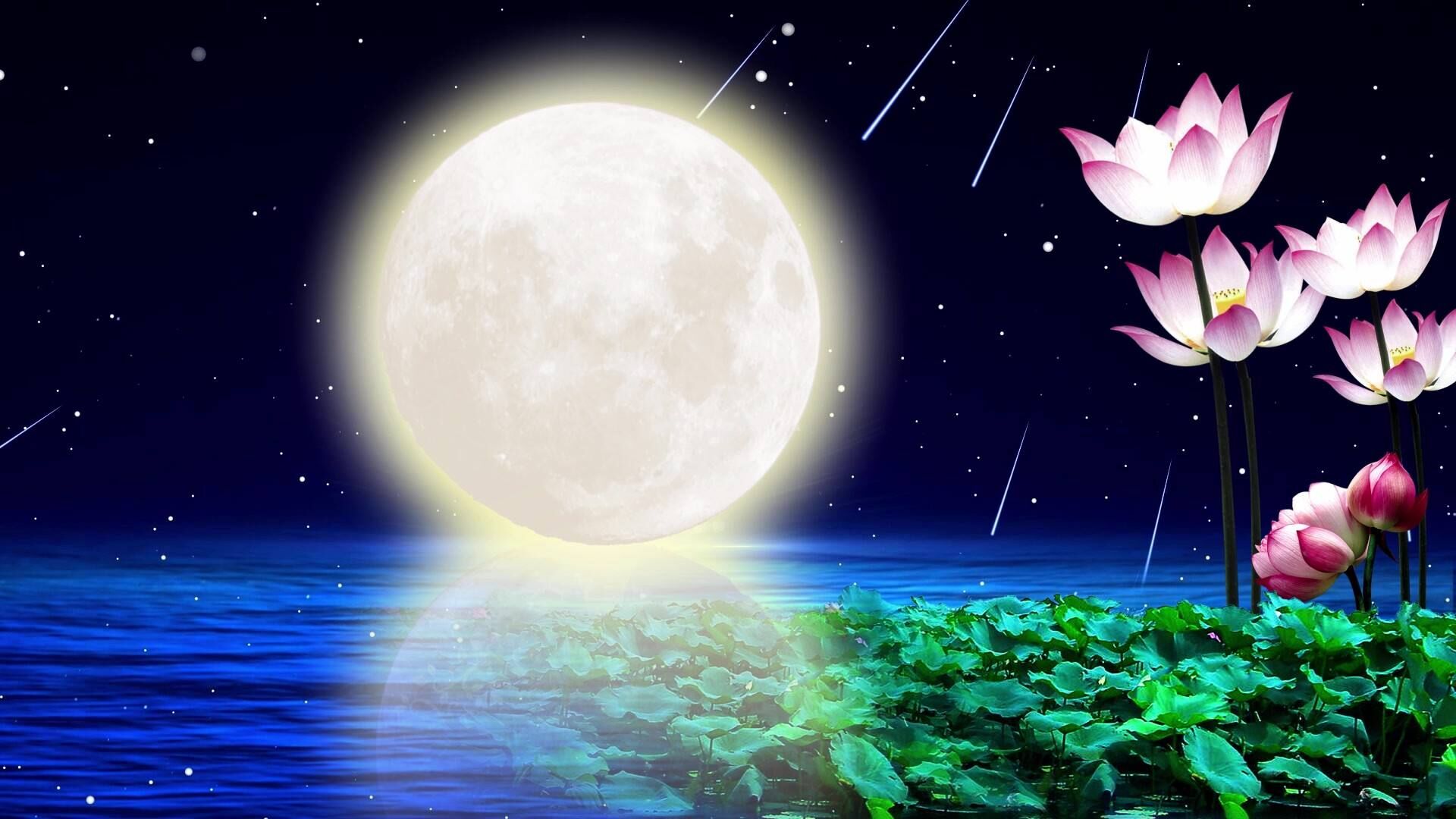 今夜,与月色缠绵