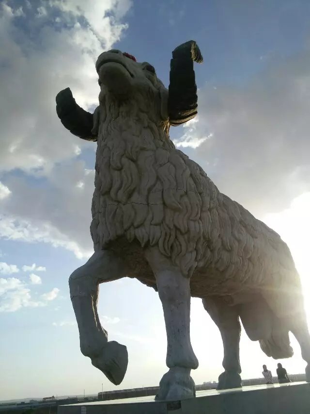 美丽的盐池是滩羊之乡