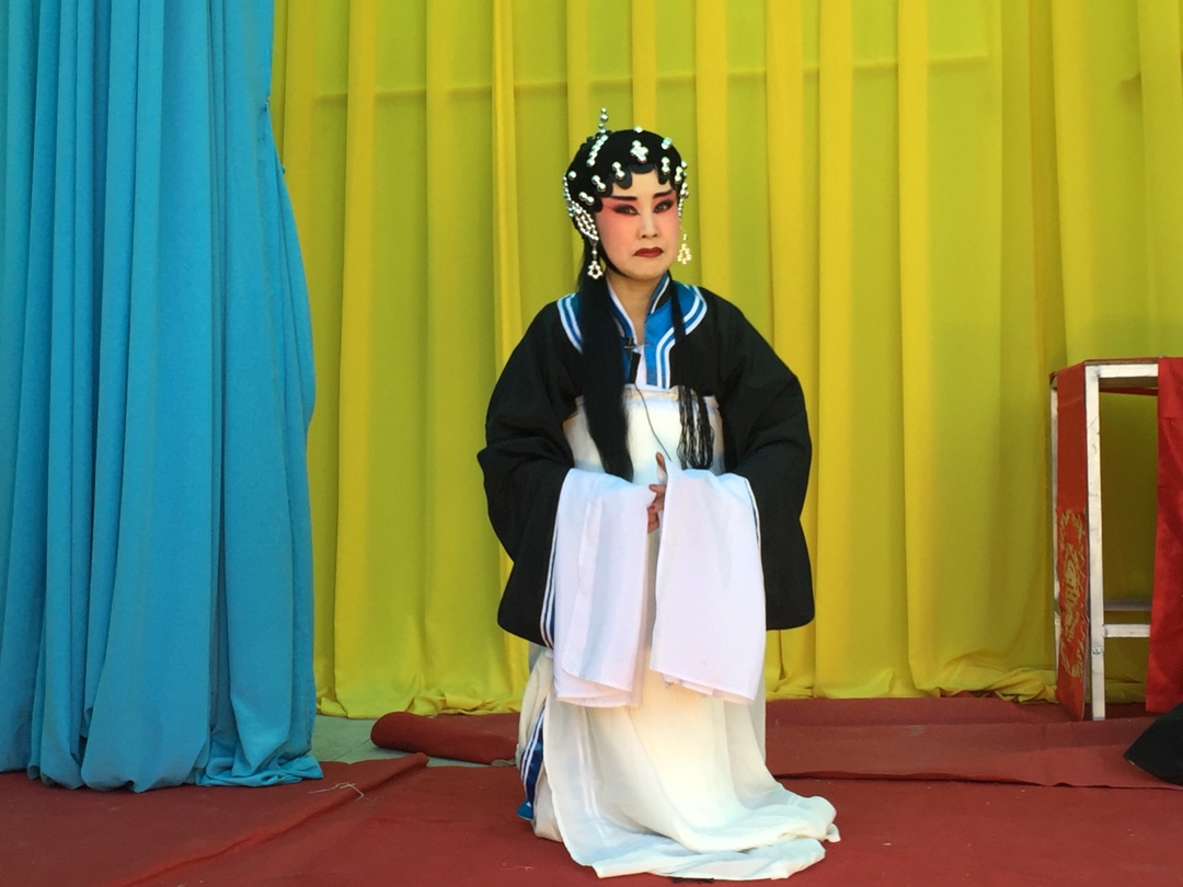 王海莲饰赵景棠