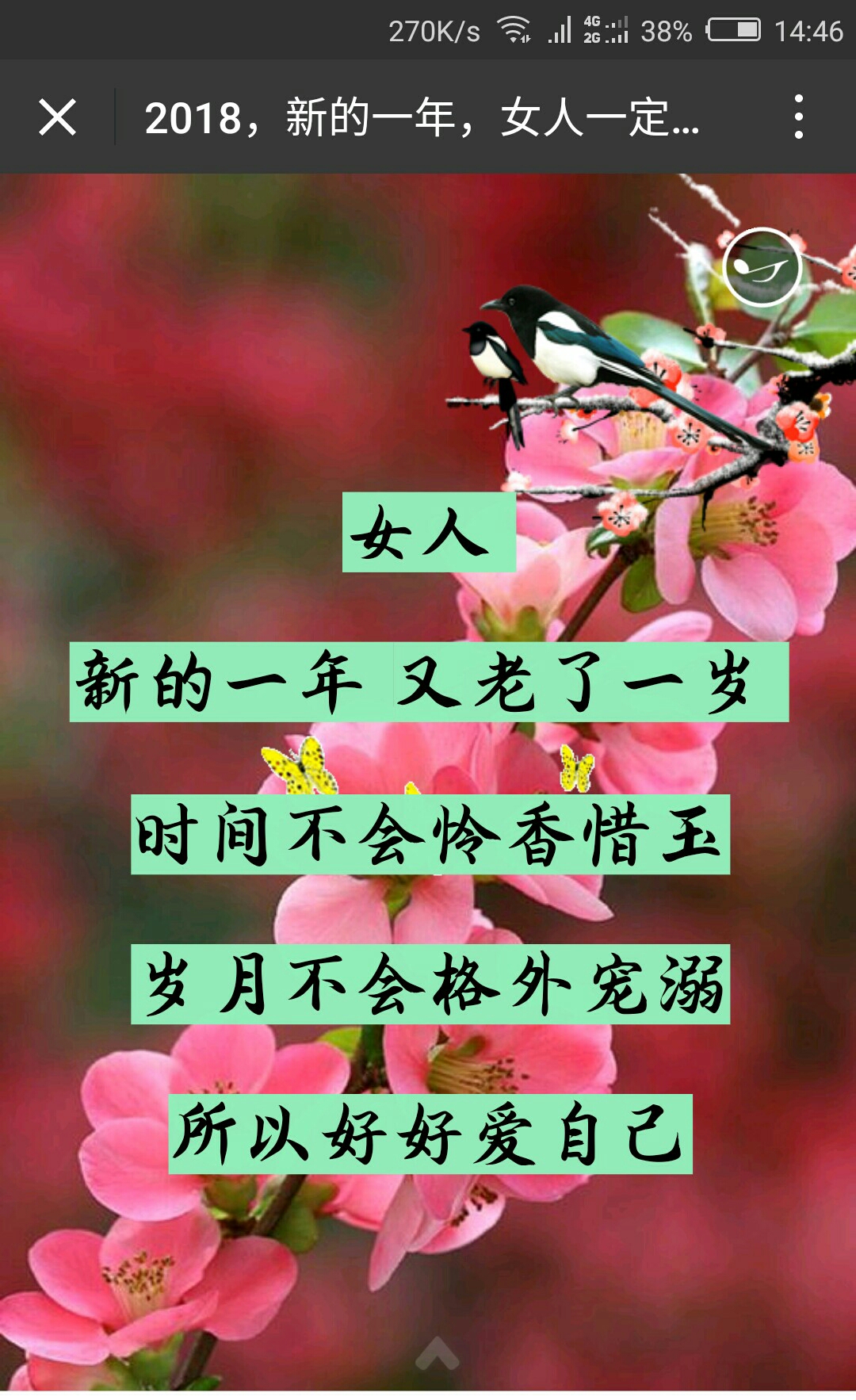 2018,新的一年!女人一定要对自己好一点!