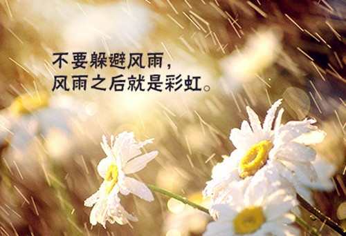 不要躲避风雨,风雨之后就是彩虹.