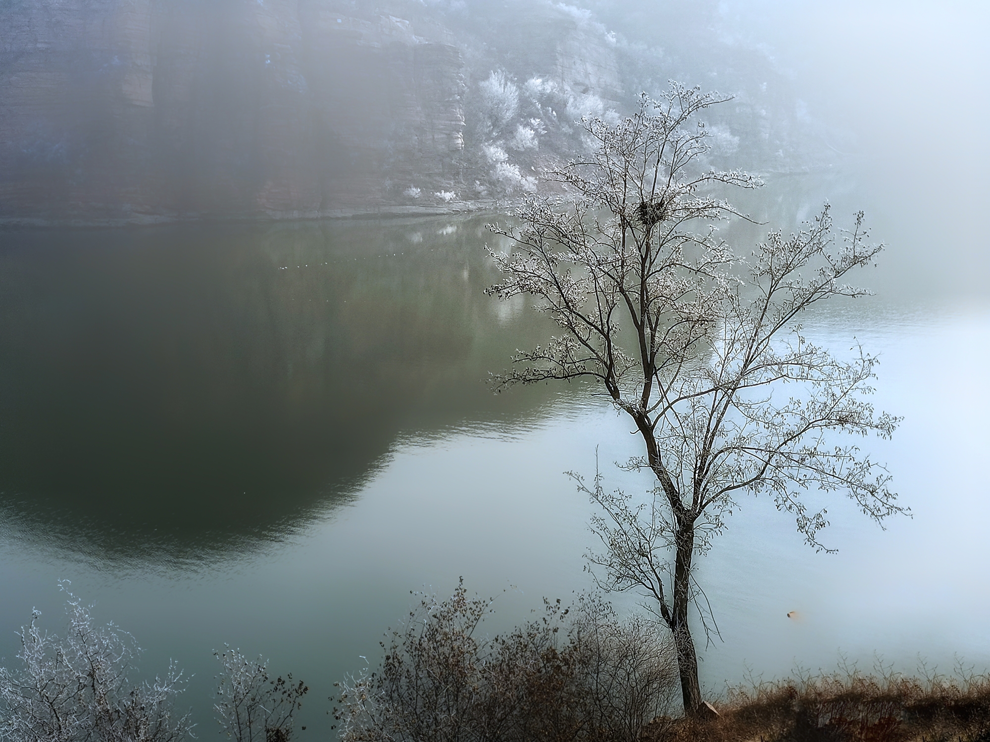 雾色朦胧,一幅水墨丹青