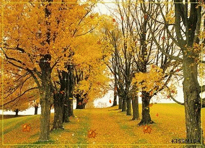 2mm   iso:25  器材:apple iphone 6s 光圈:f2.2