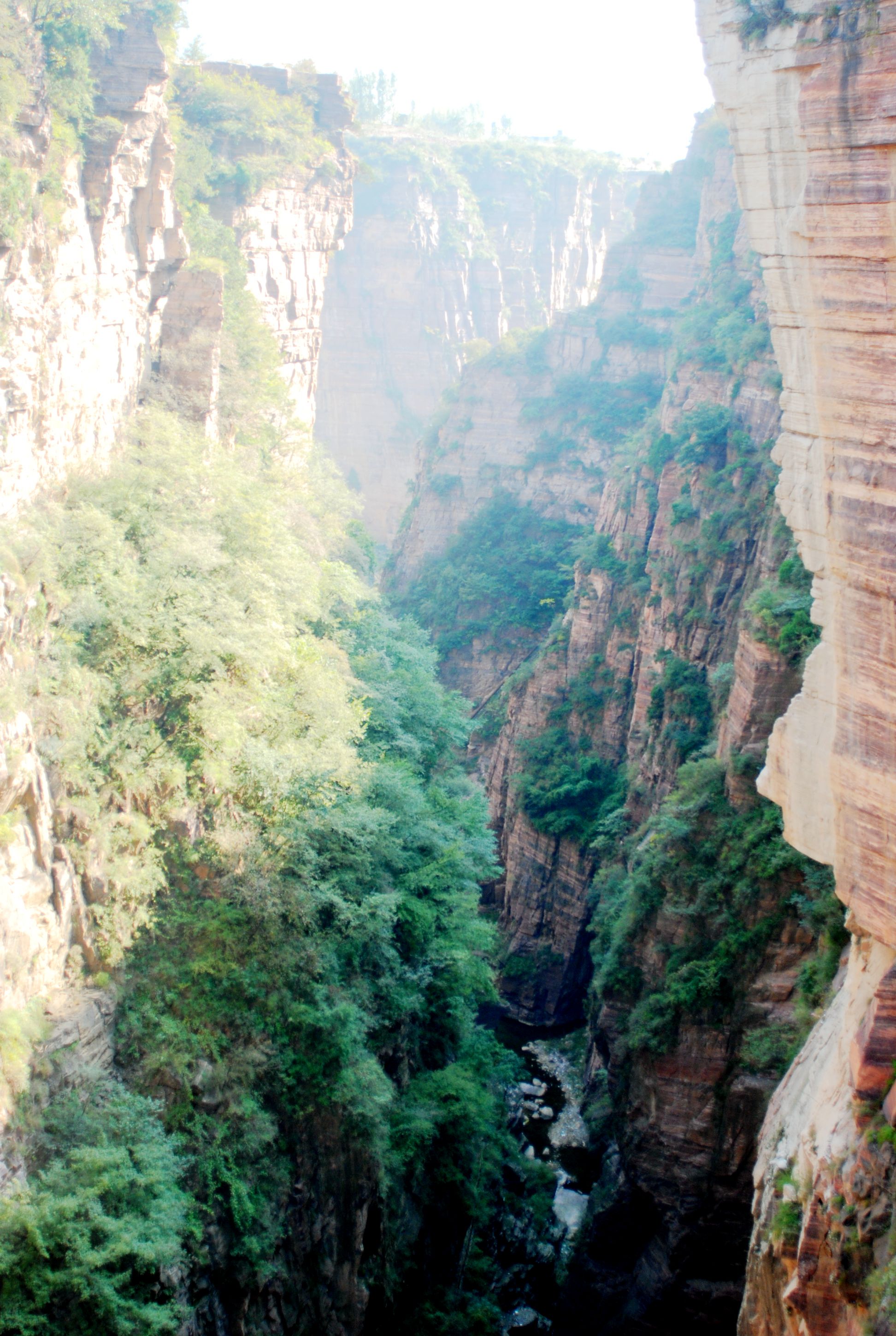 太行云顶山西晋城之王莽岭