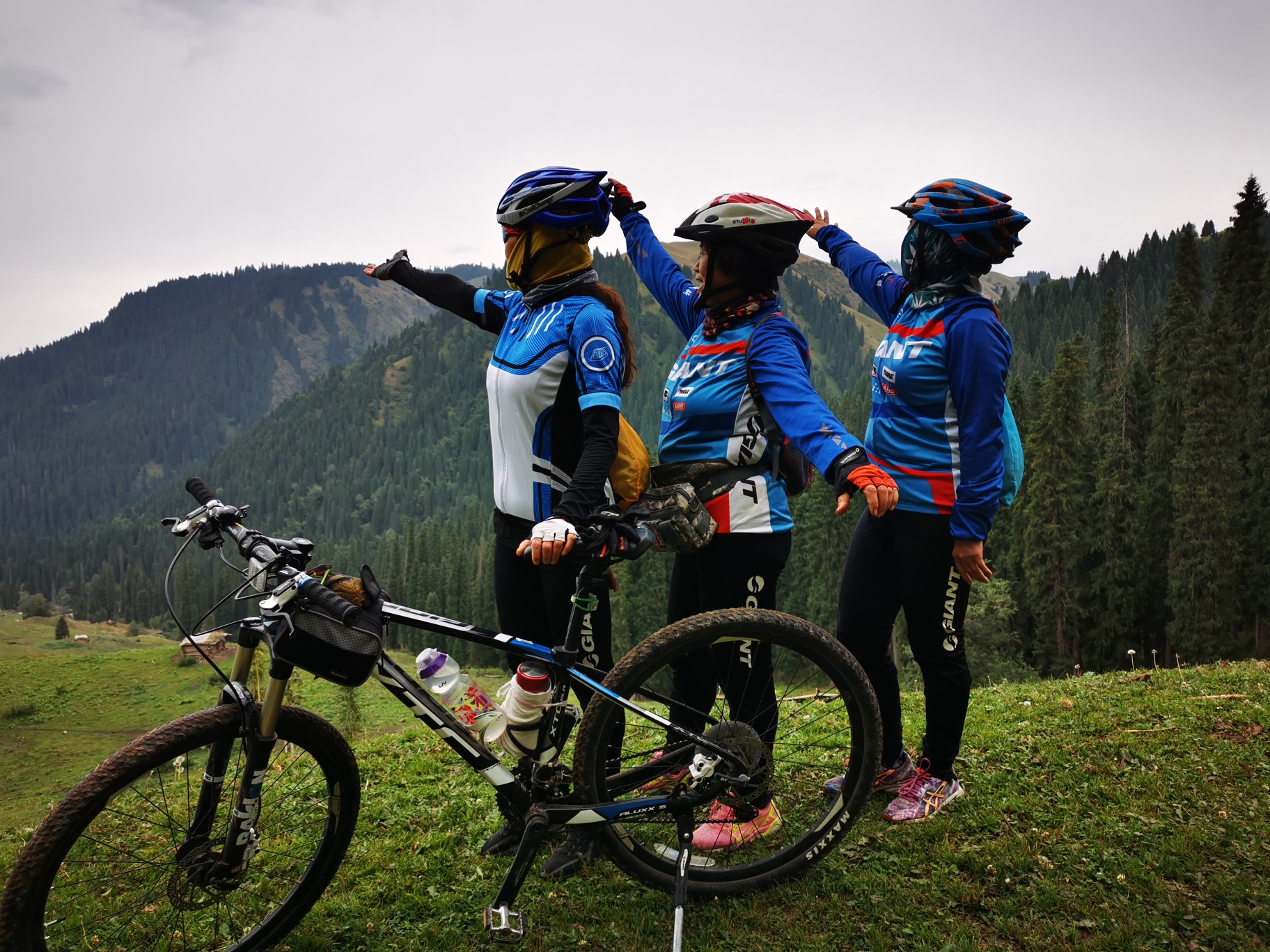 通往那片森林的骑行〈1〉