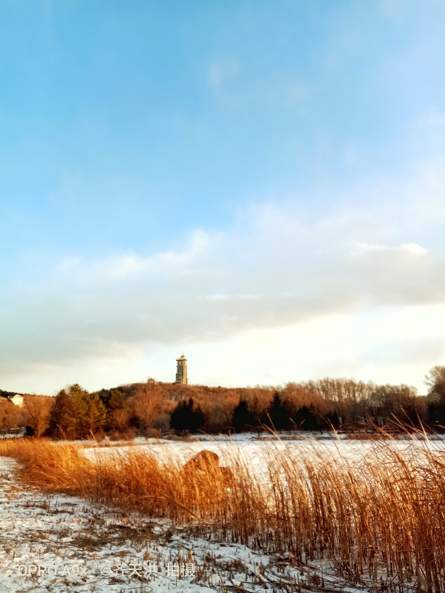 长春 净月公园掠影.