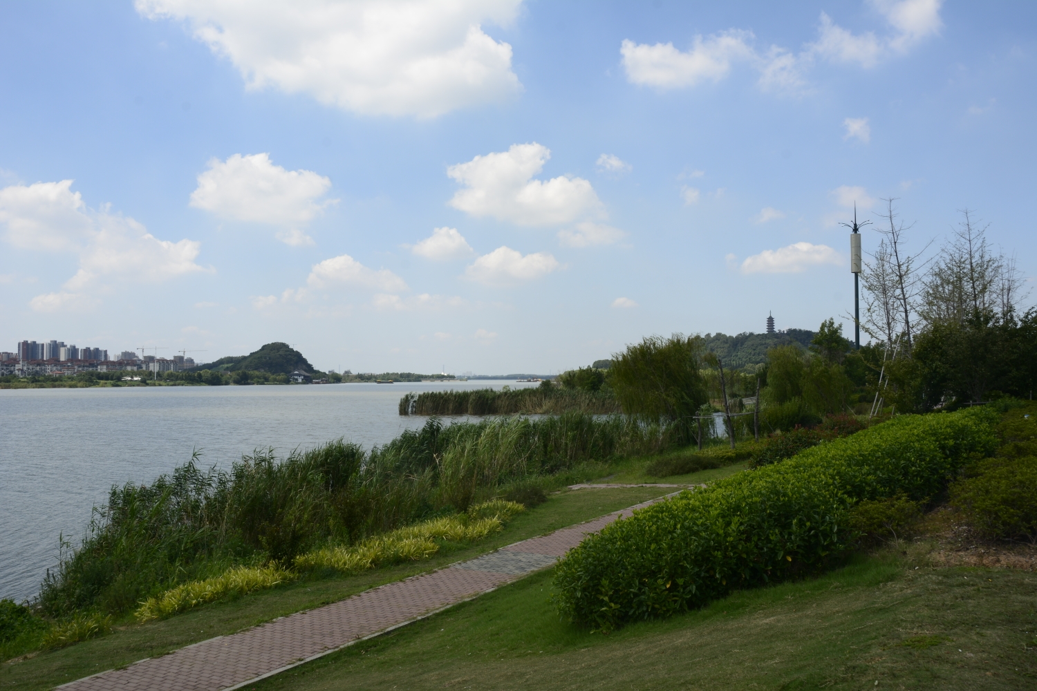 京江路上看蓝天白云