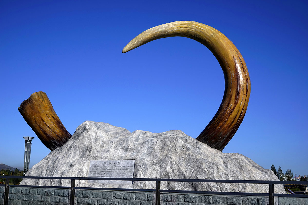 寻访猛犸象故乡