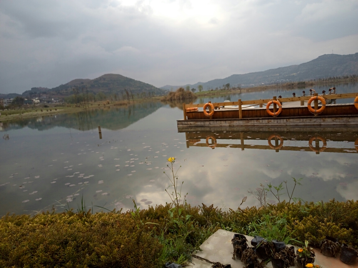 春游江陵镇,漫步凤仪湾